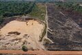 MPF processa empresa e gestores por garimpo ilegal e desmatamento de grande magnitude em Vilhena (RO)