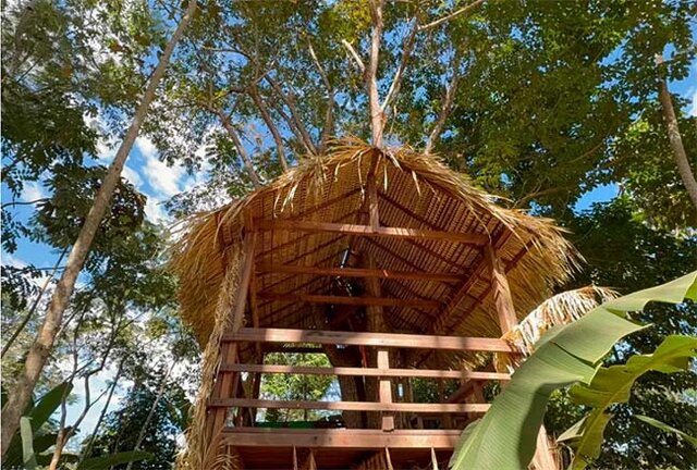 A Casa da Árvore e o artesanato são destaques durante as visitas às terras indígenas - Gente de Opinião