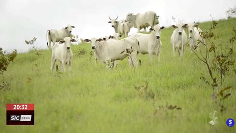 China suspende importação de carne de frigorífico em Vilhena por tempo indeterminado