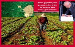 Outro absurdo: canetaço transforma áreas em quatro cidades rondonienses num Parque Indígena
