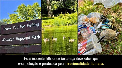 Consciência Ambiental, Racionalidade e Sobrevivência