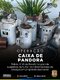Polícia Civil de Rondônia deflagra Operação “Caixa de pandora” e prende suspeito de furtos de transformadores de energia em propriedades rurais