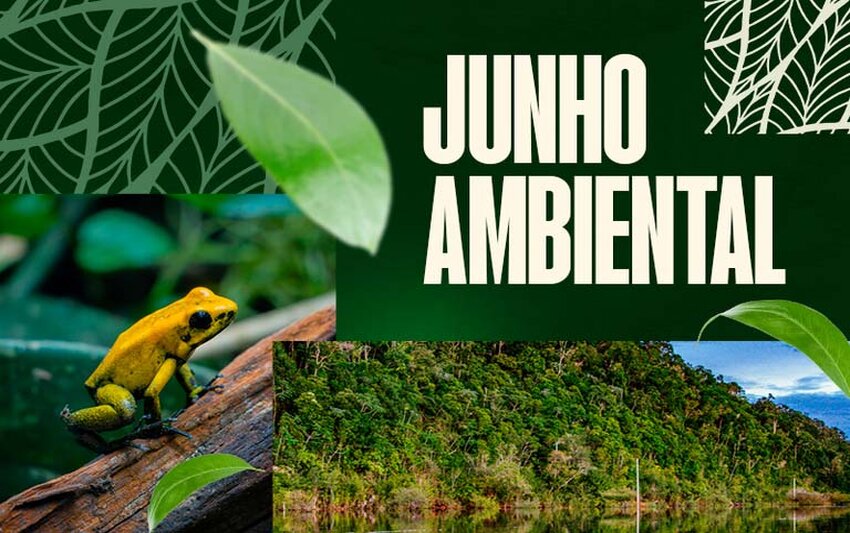 Junho Ambiental: MPF aciona estado de Rondônia e ANM para que suspendam licenças e títulos de garimpos que utilizem mercúrio