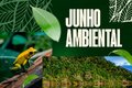 Junho Ambiental: MPF obtém decisão que obriga estado de Rondônia a proteger antigo território da Floresta Nacional do Bom Futuro